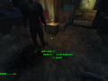 Fallout4 2015-11-16 13-14-56-25.png